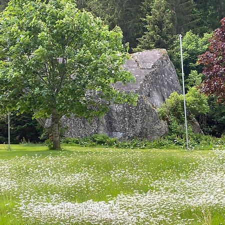 Haus Am Rain Bed and Breakfast Partenen Exteriör bild
