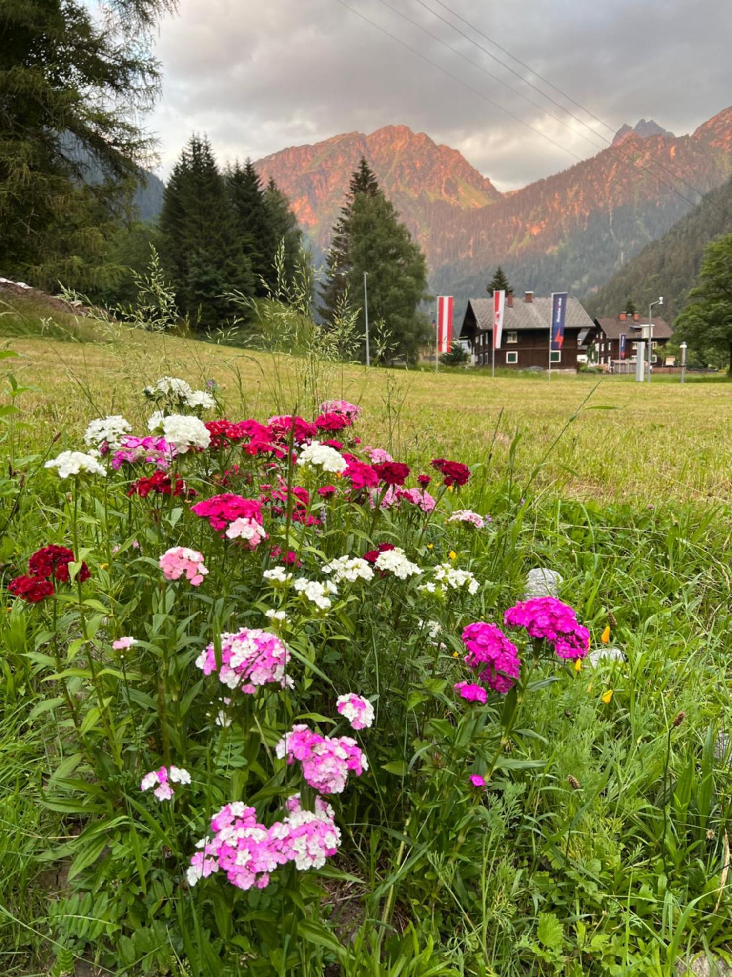 Haus Am Rain Bed and Breakfast Partenen Exteriör bild