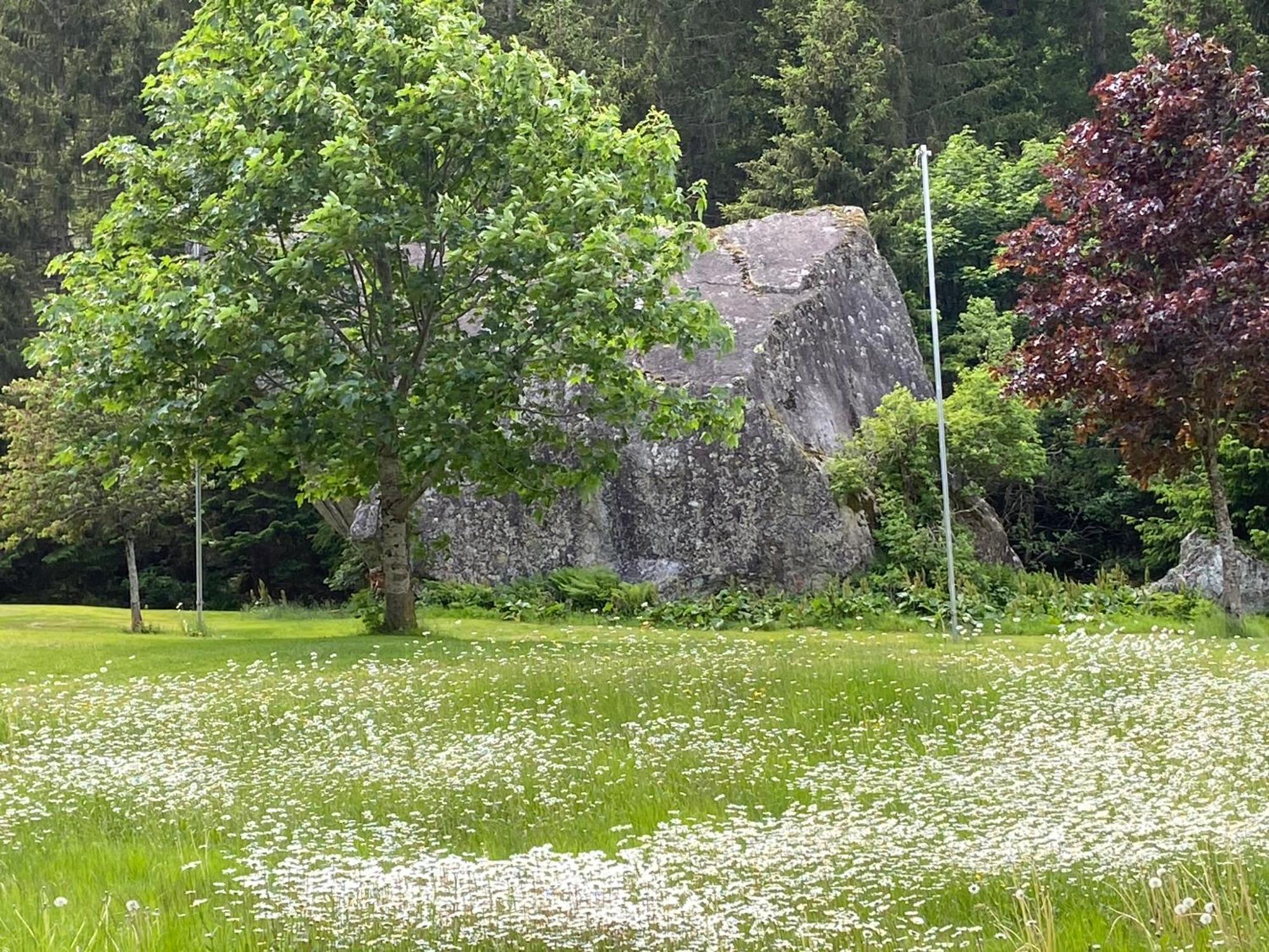 Haus Am Rain Bed and Breakfast Partenen Exteriör bild